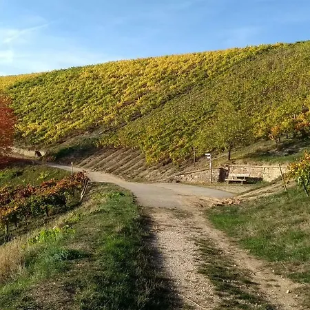 شقة Natur Pur Am Golfplatz In Stromberg